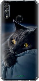 Чохол на Huawei Honor 10 Lite Димчастий кіт "825u-1618-2448"