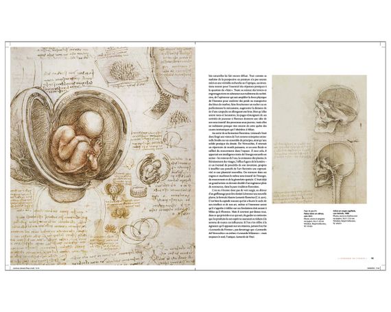 Книга о жизни и творчестве Леонардо да Винчи Léonard de Vinci. Martin Kemp великие художники книги | Зображення 8