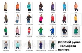 Футболка жіноча Поло з довгим рукавом, жіноча хопкова футболка Поло з довгим рукавом найвищої якості 3XL, (колір із палітри)