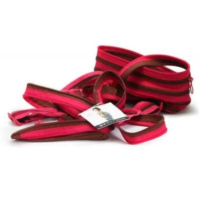Рюкзак шкільний Zipit Zipper Fuchsia Deep Brown (ZBPL-1) | Зображення 3