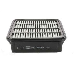 Воздушный фильтр для автомобиля Champion CAF100829P