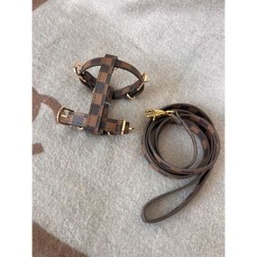 Брендовая шлея и поводок для собак LOUIS VUITTON расцветка в квадраты,  коричневая