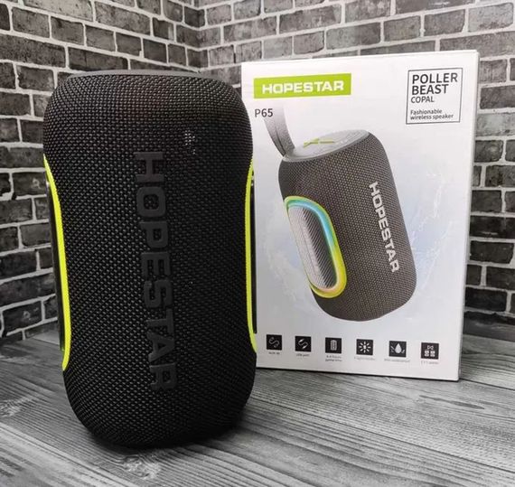 Портативна колонка з потужним звуком 40 Вт, водонепроникна IPX6, Bluetooth 5.0, HOPESTAR H59 (46483-H59_2153) | Зображення 2