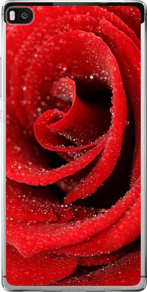 Чехол на Huawei Ascend P8 Красная роза "529u-123-17620"