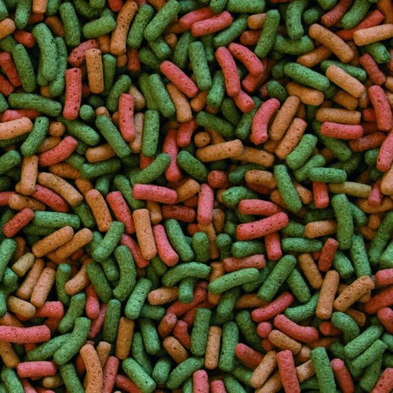 Корм Tropical Biorept W для водоплавних черепах гранули 75 г | Зображення 1