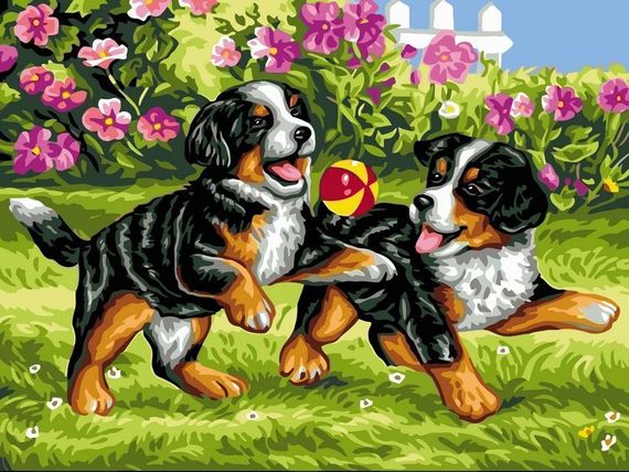 Щенки с мячиком