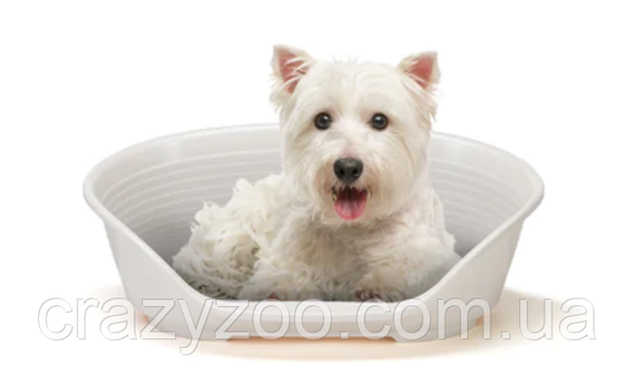 Пластиковий лежак для собак та котів Ferplast Siesta Deluxe 4 білий 61.5х45х21.5 см 70204911 | Зображення 4