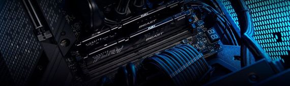 Пам&#039;ять ПК Kingston DDR5 16GB KIT (8GBx2) 5600 FURY Beast KF556C40BBK2-16 | Зображення 2