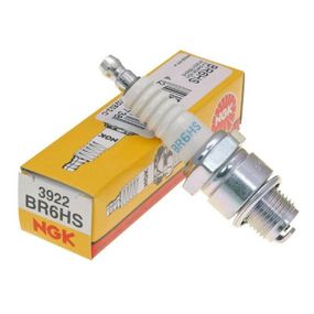 Свеча зажигания NGK Свічка запалювання (3922 BR6HS)