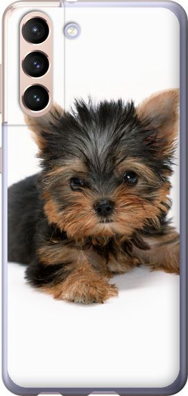 Чехол на Samsung Galaxy S21 Щенок йоркширского терьера "931u-2114-17620"