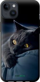 Чохол на iPhone 14 Plus Димчастий кіт "825b-2645-2448"