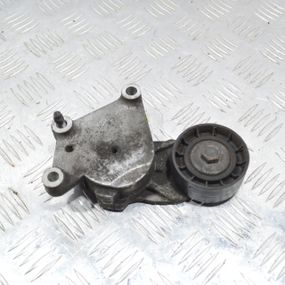 Натягувач ременя генератора Peugeot 207 2006-2014 Натяжний ролик генератора Пежо 207 TF114A 825809 TF114A825809