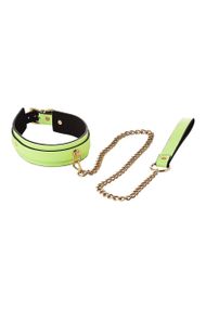 Ошейник с поводком светящийся в темноте Dream Toys Radiant Collar & Leash зеленый sexstyle
