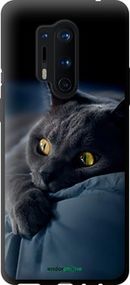 Чохол на OnePlus 8 Pro Димчастий кіт "825b-1896-2448"
