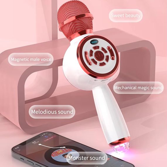Караоке Микрофон-колонка DS810 Pink | Зображення 1