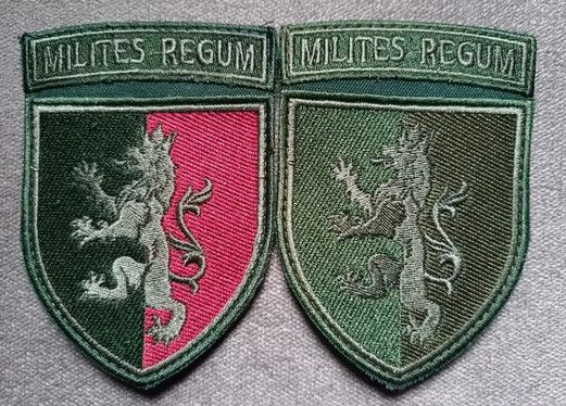 Шеврон 24 ОМБр "MILITES REGUM" - 2шт (цветной+зеленый)