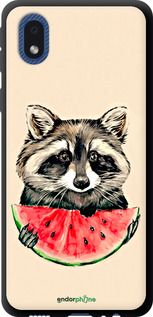 Чохол на Samsung Galaxy A01 Core A013F Єнотик з кавуном "4605b-2065-2448"