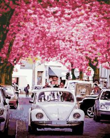 Квітуча вулиця