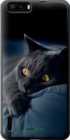 Чохол на Huawei Honor 6 Plus Димчастий кіт "825u-179-2448"