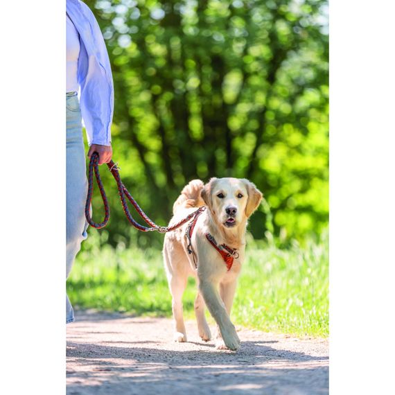 Нашийник Trixie Cavo для собак напівудавка L 47–55 см діаметр 18 мм рижо-графітовий | Зображення 2