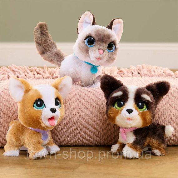 Интерактивная игрушка "Корги" серии "Poop-A-Lots" Furreal 28057 звуковые эффекты | Зображення 1