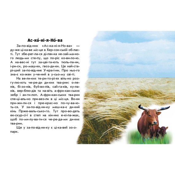 Читаю про Україну по складах "Парки та заповідники" 366018 з кольоровими ілюстраціями | Зображення 3