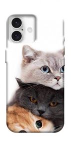 Чохол з картинкою Три коти для Apple iPhone 16 Plus