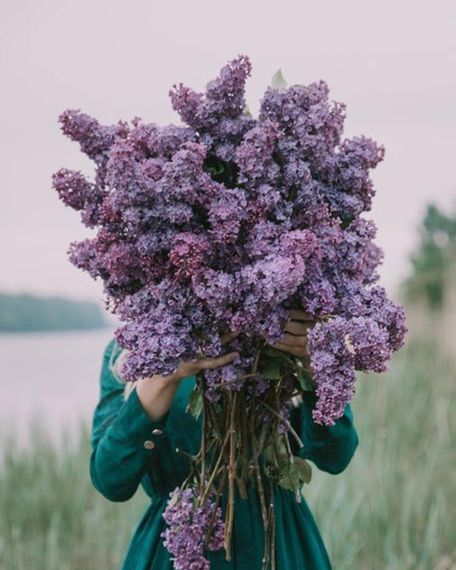 Blue Lilac (Блакитний бузок) аромадифузор Collines de Provence, 100 мл | Зображення 4