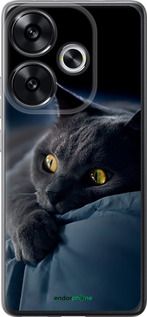 Чохол на Xiaomi Redmi Turbo 3 5G Димчастий кіт "825u-3802-2448"