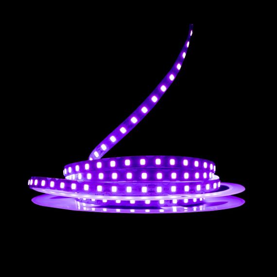 Світлодіодна LED стрічка PROLUM 12V IP20 2835\120 S-TYPE Series S Фіолетовий | Зображення 1