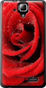 Чехол на Lenovo A536 Красная роза "529u-149-17620"