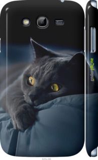 Чохол на Samsung Galaxy Grand Neo I9060 Димчастий кіт "825m-112-2448"