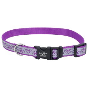 Ошейник светоотражающий для собак Coastal Lazer Brite Reflective Collar, 30-46 см, фиолетовая ромашка