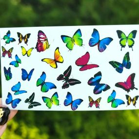 Слайдер B-07 на водяній основі (5x8см)