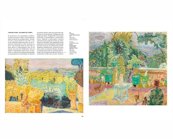 Книга про художників, П'єр Боннар Caspar Pierre Bonnard живопис книги для художників | Зображення 1