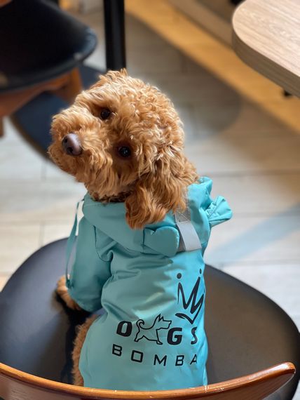 Дощовик парка DB бірюзовий M-72 | Зображення 1