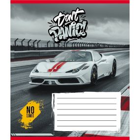 Тетрадь ученическая "Без паники" 012-510164C-4 в косую линию, 12 листов