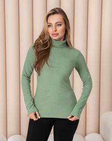 Женская теплая водолазка-гольф полушерсть на термо флисе цвет фисташковый размер 42/44 DM09.09