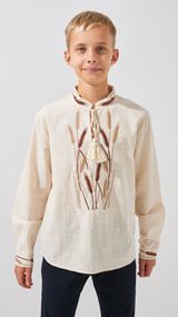 Сорочка вишиванка для хлопчика Dinomin D2890-1 164 см Бежевий shop (2000999143540)