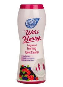 Пінний порошок для чищення унітазу Foam Fresh Wid Berry 370г
