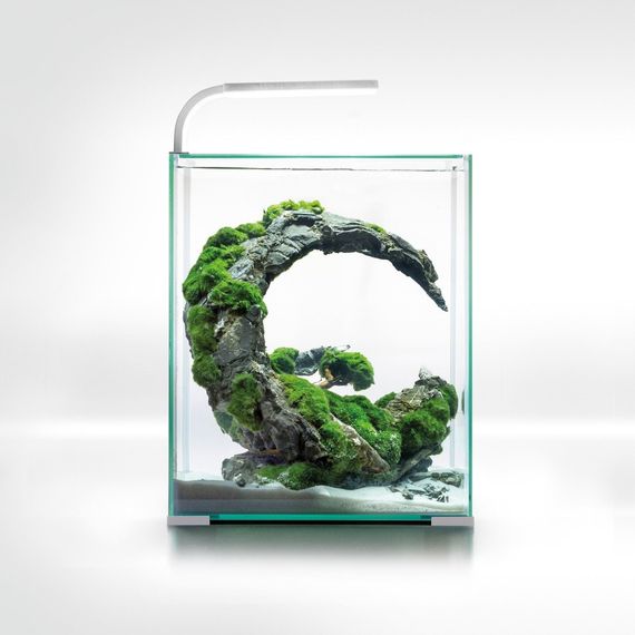Акваріум Aquael Shrimp Set Smart для креветок прямий білий 19 л | Зображення 4