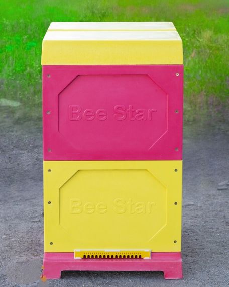 Вулик ППУ “BeeStar” (2 корпуси Дадан 300 мм на 10 рамок) – кольоровий | Зображення 1