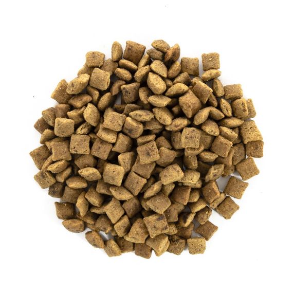 Корм сухий Brit Care Cat Grain Free Senior Weight Control для котів похилого віку з надмірною вагою з куркою 400 г | Зображення 1