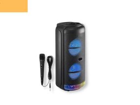 Портативная колонка бумбокс XPRO RX-8228 чемодан  30Вт, USB, SD, FM радио, Bluetooth, 1 микрофон, ДУ (MER-15715)