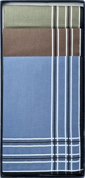 Чоловічі бавовняні носові хустинки Guasch 101.96 D.52