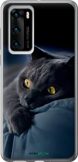 Чохол на Huawei P40 Димчастий кіт "825u-1840-2448"