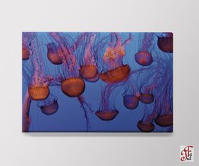 Печатная картина  Медузы 60х40 см