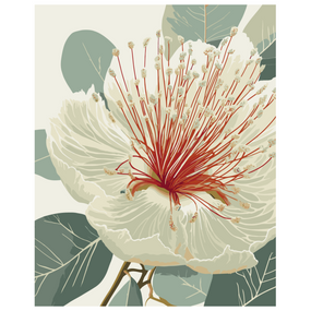 Картина по номерам "Цветущий эвкалипт" Art Craft 13155-AC 40х50 см