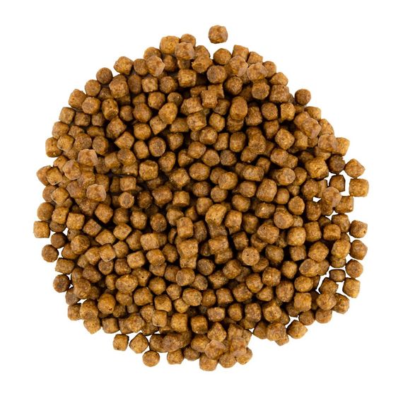 Корм сухий Savory Kitten rich in Fresh Turkey and Chicken для кошенят всіх порід зі свіжою індичкою та куркою 8 кг | Зображення 1