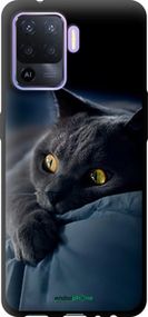 Чохол на Oppo A94 Димчастий кіт "825b-2287-2448"